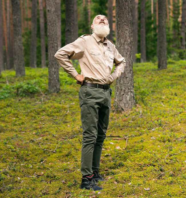 Kestävä metsänhoito: avain metsien pitkäaikaiseen terveyteen ja kannattavuuteen