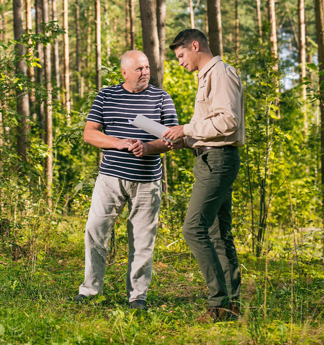 Metsäekonomia ja kannattavuus: metsien arvon maksimoiminen